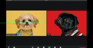 12 tips and shortcuts you need to know to master Zoom